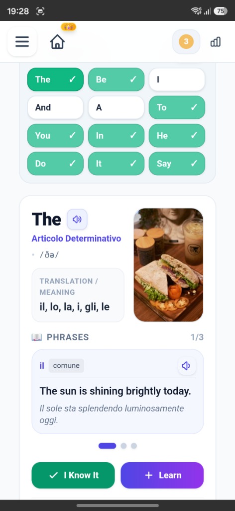 Cartes de Connaissances & Vocabulaire Essentiel